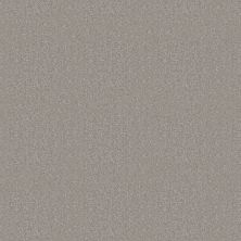 Shaw Floors Value Collections Positively Net Polished Silver