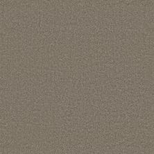 Shaw Floors Value Collections Positively Net Shale