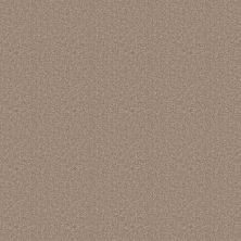 Shaw Floors Value Collections Positively Net Grounded