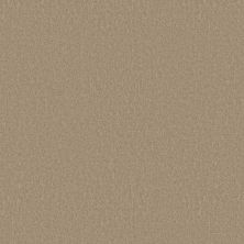 Shaw Floors Value Collections Positively Net Artisan