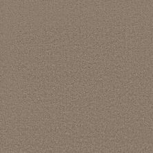 Shaw Floors Value Collections Positively Net Sparrow