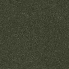 Shaw Floors Pet Perfect Hard At Play II 12′ Rerooted Nature 00300_5E558
