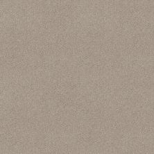 Shaw Floors Bountiful Beauty Catnip