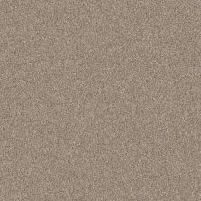 Shaw Floors Pet Perfect Yes You Can I 12′ Natural 00109_5E568