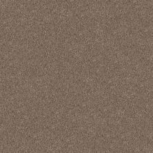 Shaw Floors Pet Perfect Yes You Can I 12′ Honeycomb 00207_5E568