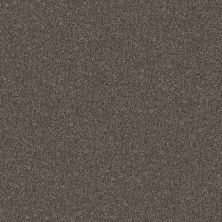 Shaw Floors Pet Perfect Yes You Can II 12′ Cafe Noir 00706_5E569
