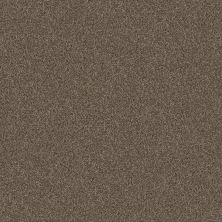 Shaw Floors Pet Perfect Yes You Can III 12′ Mission Ridge 00705_5E570