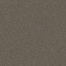Shaw Floors Pet Perfect Yes You Can II 15′ Urban Rustic 00708_5E572