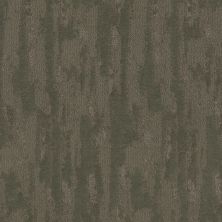 Shaw Floors Pet Perfect Plus Tranquil Spirit Rerooted Nature 00300_5E585