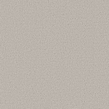 Shaw Floors Pet Perfect Intricate Trace Cashmere 00104_5E587