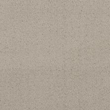 Shaw Floors Pet Perfect Intricate Trace River Birch 00106_5E587