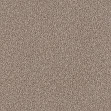 Shaw Floors Pet Perfect Yes You Can I 12′ Net Glacier 00110_5E590