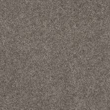 Shaw Floors Pet Perfect Yes You Can II 12′ Net Ashes 00501_5E592