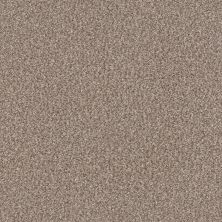 Shaw Floors Pet Perfect Yes You Can II 15′ Net Glacier 00110_5E593