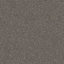 Shaw Floors Pet Perfect Yes You Can III 12′ Net Marble 00103_5E594