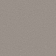 Shaw Floors Pet Perfect You Got This III Net Chic Greige 00111_5E598