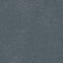 Shaw Floors Pet Perfect Hard At Play I 12′ Net Reflection 00454_5E599