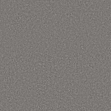 Shaw Floors Pet Perfect Plus Artistic Fusion II Net Vintage 00509_5E611