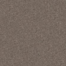 Shaw Floors To The Point Warm Grey