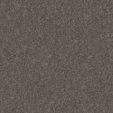 Shaw Floors To The Point Castle Slate