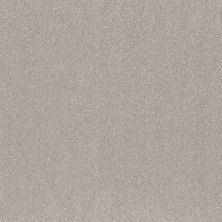 Shaw Floors Smooth Talk I Net Silver Mist 00540_5E625