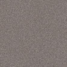 Shaw Floors Value Collections Truspirit II Net Stainless 00508_5E633