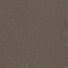 Shaw Floors Value Collections Truspirit II Net City Scape 00511_5E633