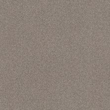 Shaw Floors Value Collections Trusplendor Net Concrete 00507_5E634