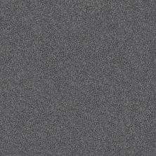 Shaw Floors Pet Perfect Yes You Can-ada II 15′ Refined 00402_5E638