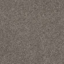 Shaw Floors Pet Perfect Yes You Can-ada II 15′ Ashes 00501_5E638