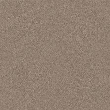 Shaw Floors Pet Perfect Yes You Can-ada III 15′ Subtle Clay 00114_5E640