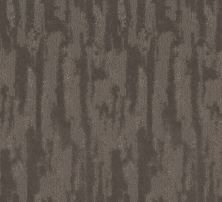 Shaw Floors Pet Perfect Plus Tranquil Spirit Net Ashes 00501_5E645