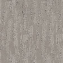 Shaw Floors Pet Perfect Plus Tranquil Spirit Net Gravity 00556_5E645