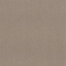 Shaw Floors Feisty Smooth Taupe 00119_5E652