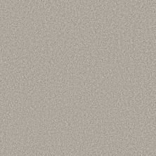 Shaw Floors Prevalent Wool