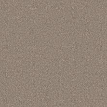 Shaw Floors Prevalent Sahara