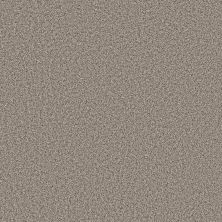 Shaw Floors Pet Perfect Remixed Classic Net Vapor 00520_5E702