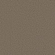 Shaw Floors Pet Perfect Remixed Classic Net Dry Creek 00715_5E702