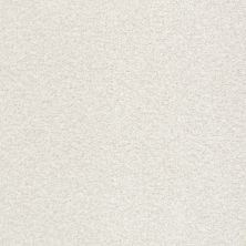 Shaw Floors SFA Tonal Comfort II Net Clean Linen 00122_5E707