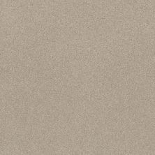 Shaw Floors SFA Tonal Comfort II Net Sand Castle 00127_5E707