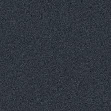 Shaw Floors SFA Tonal Comfort II Net Under The Stars 00427_5E707