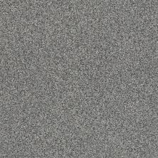Shaw Floors SFA Tonal Comfort II Net Lighthouse Shadows 00520_5E707