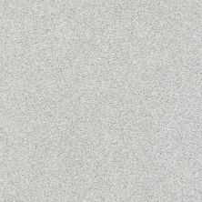 Shaw Floors SFA Tonal Comfort II Net Bay Waves 00522_5E707