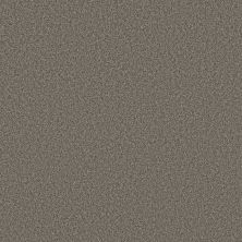 Shaw Floors SFA Tonal Comfort II Net French Market 00752_5E707