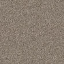Shaw Floors Pet Perfect Ultra Lush Net Cobblestone 00750_5E724