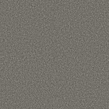 Shaw Floors Pet Perfect Plus Renewed Energy I Net Paris Sky 00413_5E728