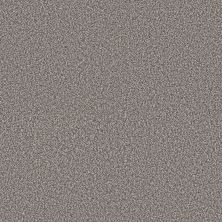Shaw Floors Pet Perfect Plus Renewed Energy I Net Fog 00503_5E728