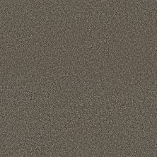 Shaw Floors Pet Perfect Plus Renewed Energy I Net Mineral Bed 00716_5E728
