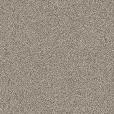 Shaw Floors Feelin’ Alright Stepping Stone 00133_5E741