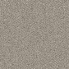 Shaw Floors Feelin’ Alright Net Almond 00121_5E742